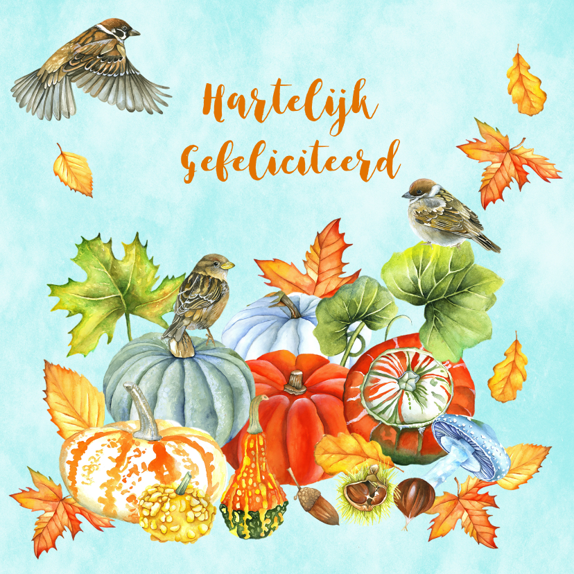 Felicitatie vogeltjes herfst - Felicitatiekaarten Felicitatiekaarten - Felicitatie vogeltjes herfst