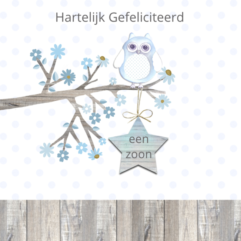 Felicitatie zoon uiltje tak ster - Felicitatiekaarten Felicitatiekaarten - Felicitatie zoon uiltje tak ster