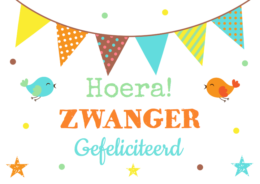 Felicitatie zwangerschap slinger confetti - Felicitatiekaarten Felicitatiekaarten - Felicitatie zwangerschap slinger confetti