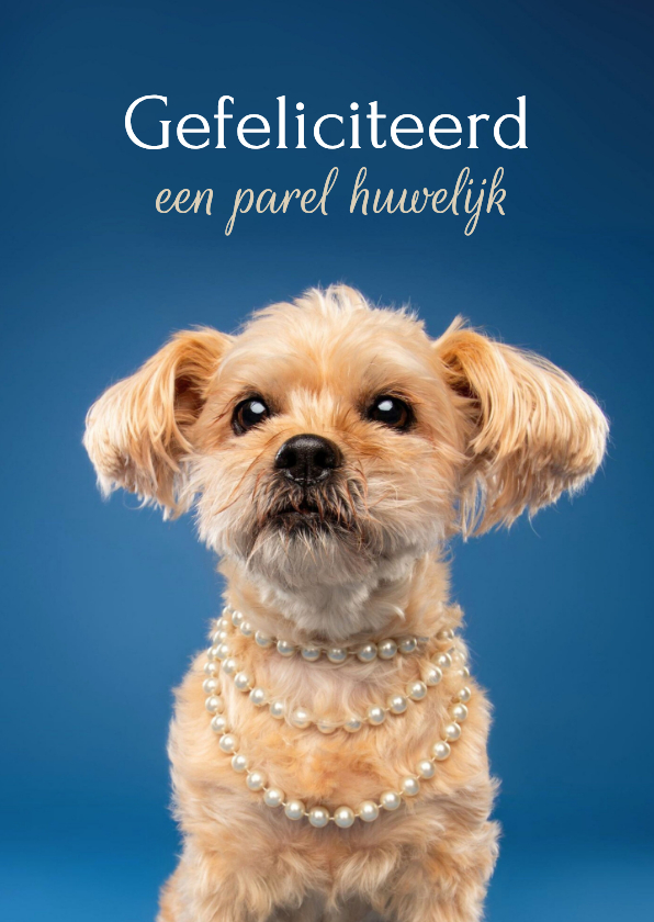 Felicitatiekaarten - Felicitatiekaart 30 jaar getrouwd van hond met parelketting 