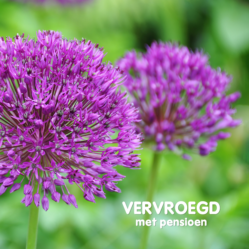 Felicitatiekaarten - Felicitatiekaart alliums vervroegd met pensioen