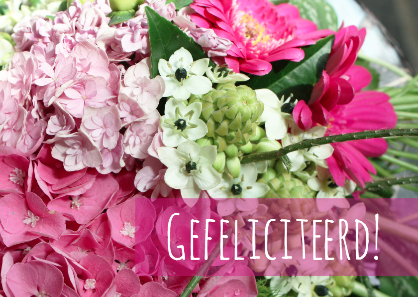 Felicitatiekaart blije bloemen - Felicitatiekaarten Felicitatiekaarten - Felicitatiekaart blije bloemen