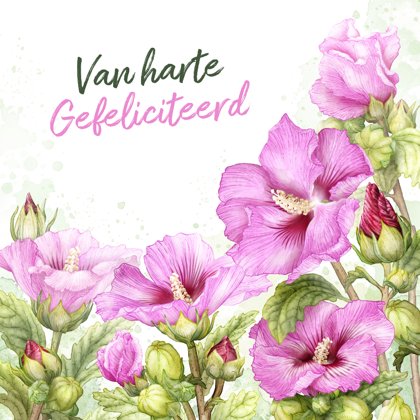 Felicitatiekaarten - Felicitatiekaart felicitatie roze hibiscus