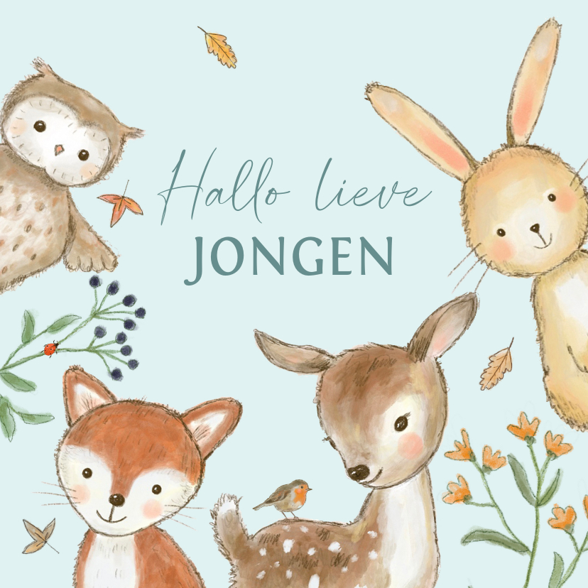 Felicitatiekaarten - Felicitatiekaart geboorte - bosdieren herfst jongen