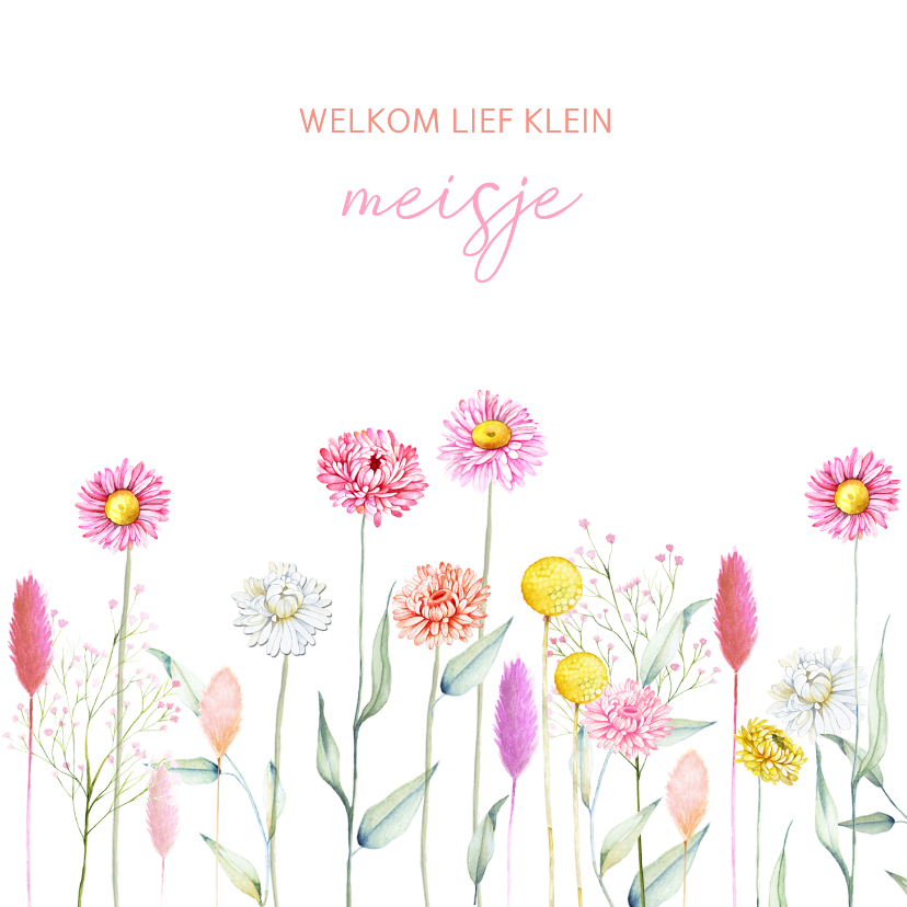 Felicitatiekaarten - Felicitatiekaart geboorte droogbloemetjes