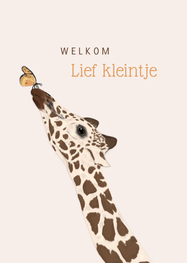 Felicitatiekaarten - Felicitatiekaart geboorte giraffe en vlinder