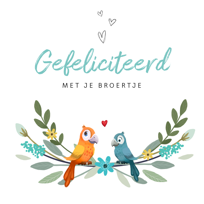 Felicitatiekaarten - Felicitatiekaart geboorte jongen broertje zus dieren vogels