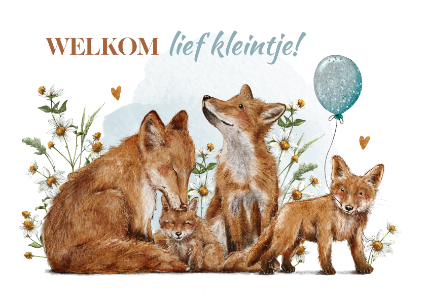 Felicitatiekaart geboorte jongen met vosjes en ballon - Felicitatiekaarten Felicitatiekaarten - Felicitatiekaart geboorte jongen met vosjes en ballon