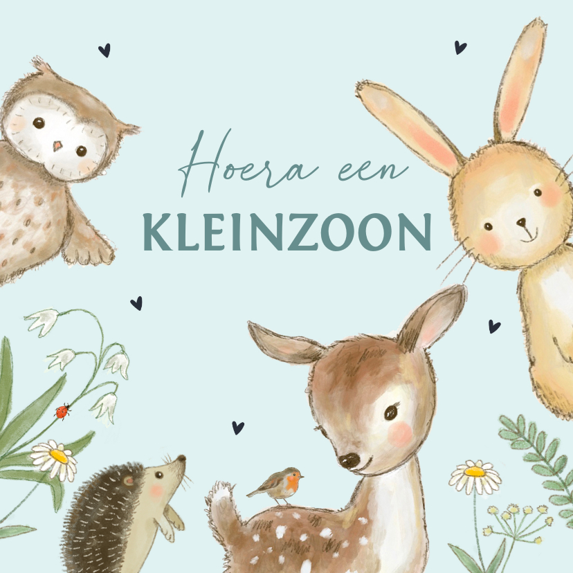 Felicitatiekaarten - Felicitatiekaart geboorte - kleinzoon bosdieren lente