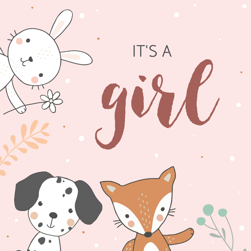 Felicitatiekaarten - Felicitatiekaart geboorte - Konijn vos en hond meisje