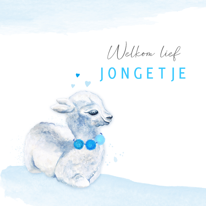 Felicitatiekaarten - Felicitatiekaart geboorte lama jongen