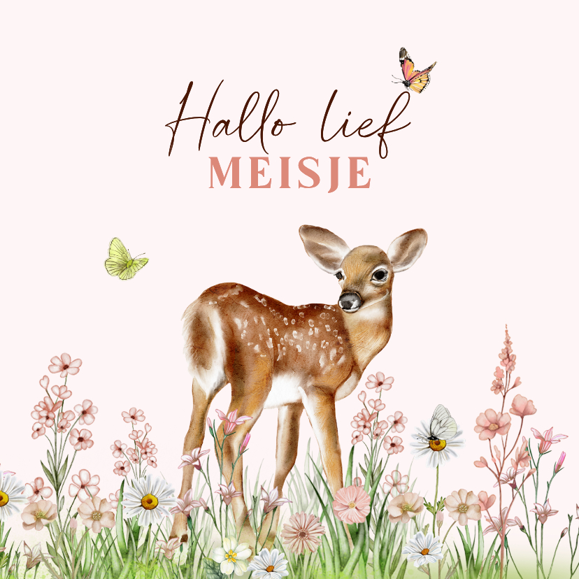 Felicitatiekaarten - Felicitatiekaart geboorte meisje met hertje