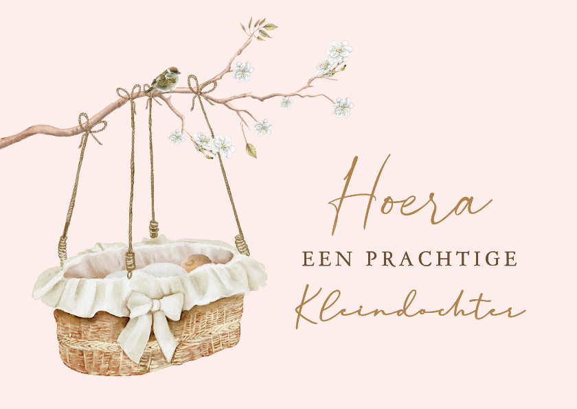 Felicitatiekaarten - Felicitatiekaart geboorte meisje rotan wiegje met baby.