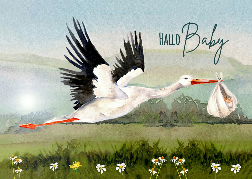 Felicitatiekaart geboorte ooievaar met baby - Felicitatiekaarten Felicitatiekaarten - Felicitatiekaart geboorte ooievaar met baby