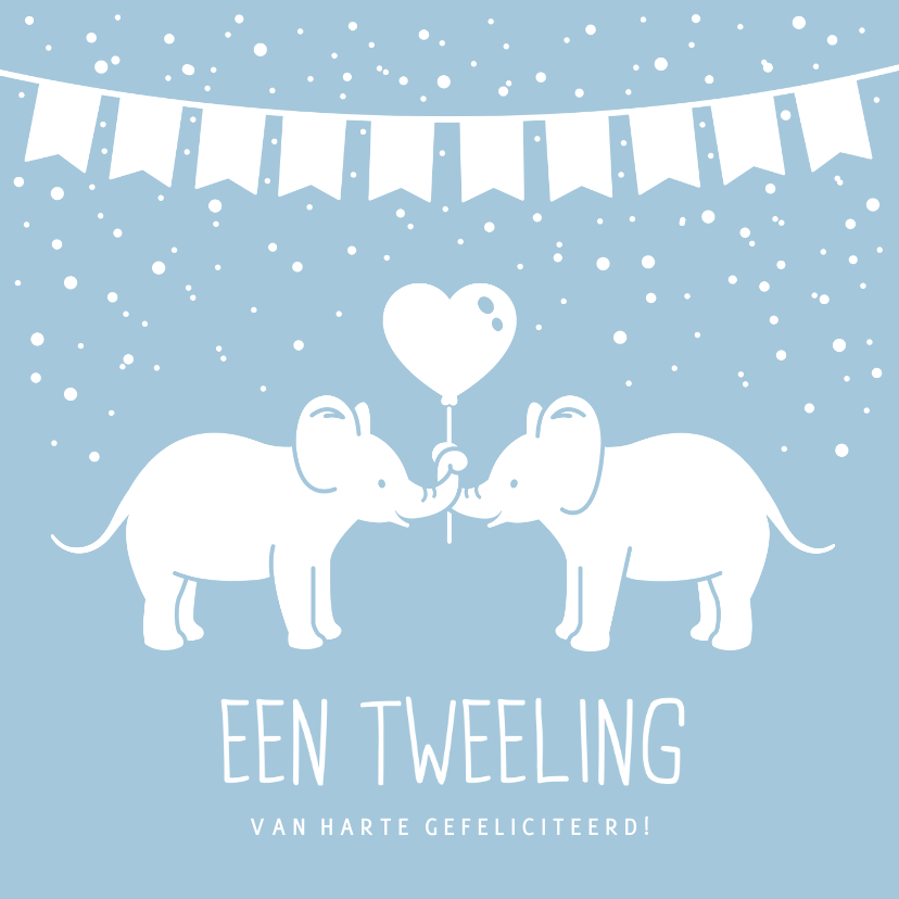 Felicitatiekaarten - Felicitatiekaart geboorte tweeling 2 jongens met olifantjes