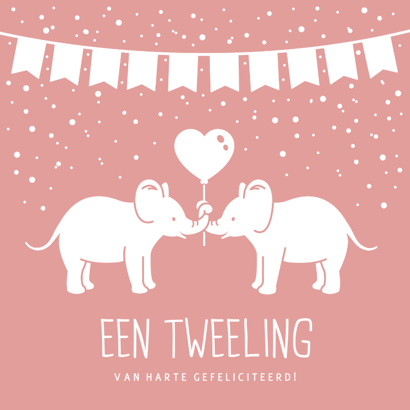 Felicitatiekaarten - Felicitatiekaart geboorte tweeling 2 meisjes met olifantjes