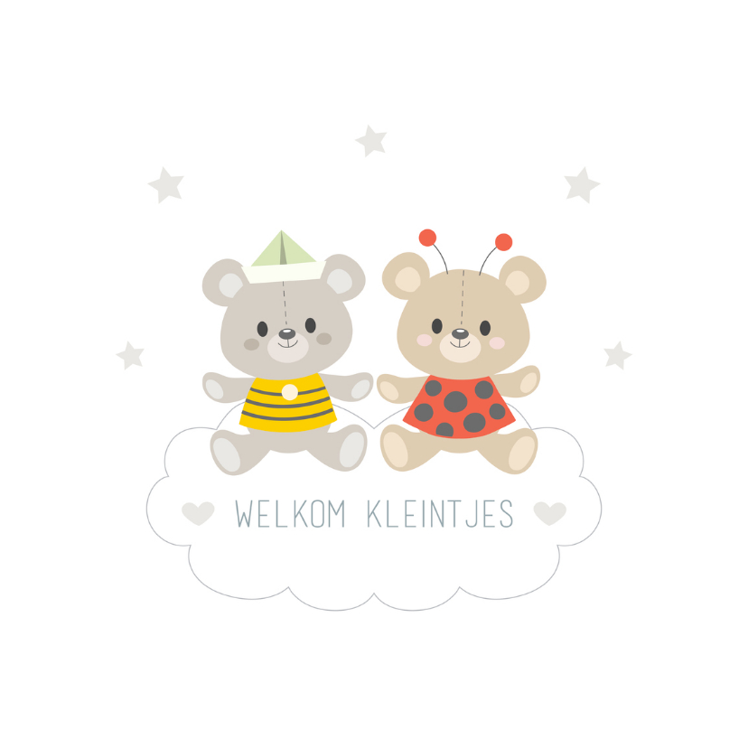 Felicitatiekaart geboorte tweeling dochter zoon - Felicitatiekaarten Felicitatiekaarten - Felicitatiekaart geboorte tweeling dochter zoon