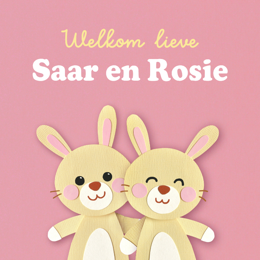 Felicitatiekaart geboorte tweeling konijntjes - Felicitatiekaarten Felicitatiekaarten - Felicitatiekaart geboorte tweeling konijntjes