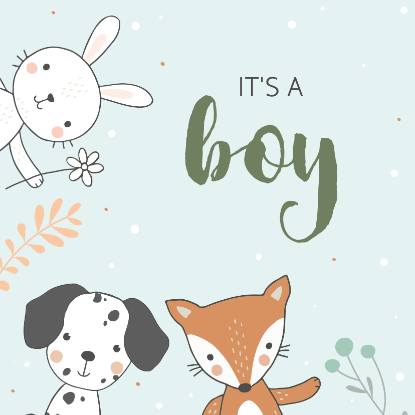Felicitatiekaarten - Felicitatiekaart geboorte vos konijn hond
