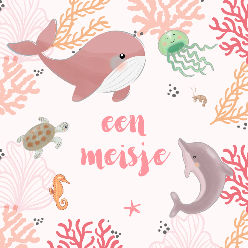 Felicitatiekaarten - Felicitatiekaart geboorte zeedieren koraal roze