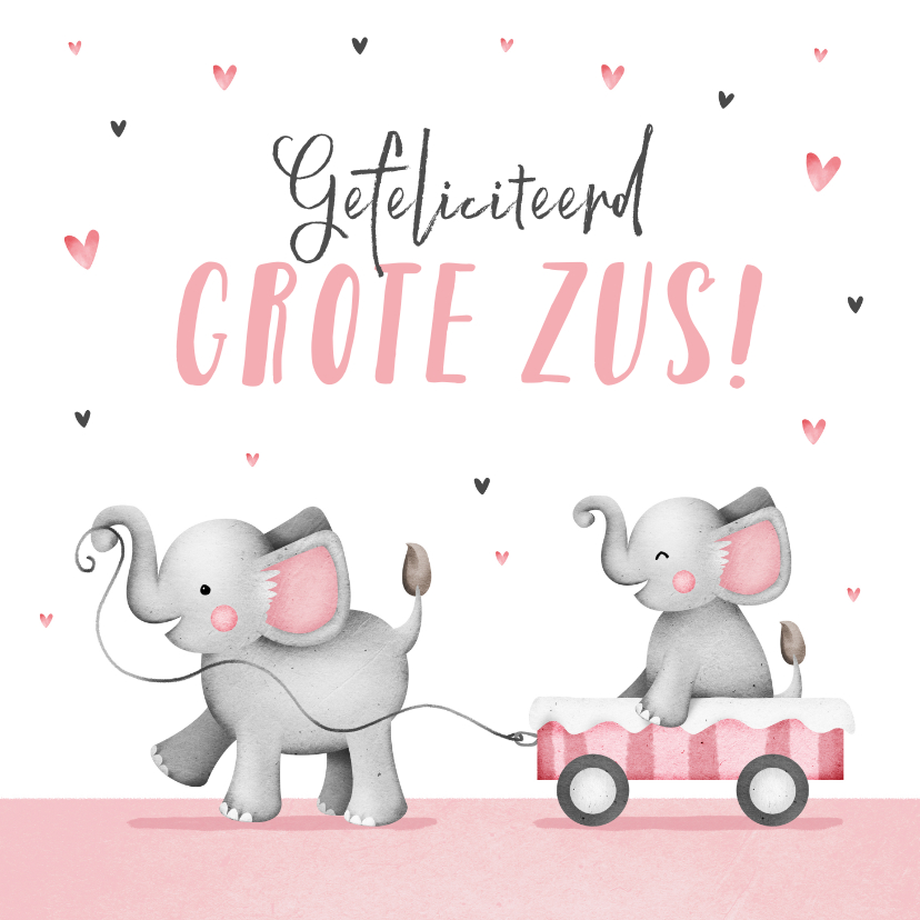 Felicitatiekaart grote zus meisje geboorte olifantjes hartje - Felicitatiekaarten Felicitatiekaarten - Felicitatiekaart grote zus meisje geboorte olifantjes hartje