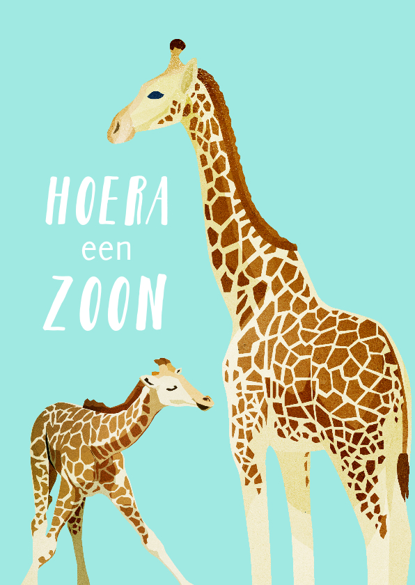 Felicitatiekaart hoera een zoon met giraffes - Felicitatiekaarten Felicitatiekaarten - Felicitatiekaart hoera een zoon met giraffes