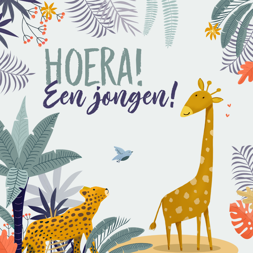 Felicitatiekaart jungle jongen - Felicitatiekaarten Felicitatiekaarten - Felicitatiekaart jungle jongen