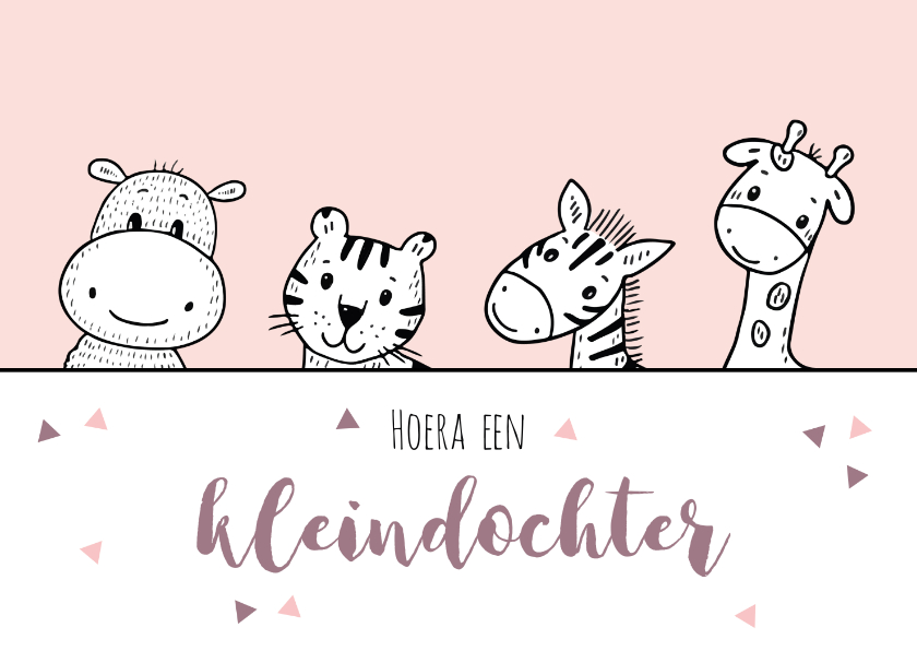 Felicitatiekaarten - Felicitatiekaart kleindochter met safaridieren 