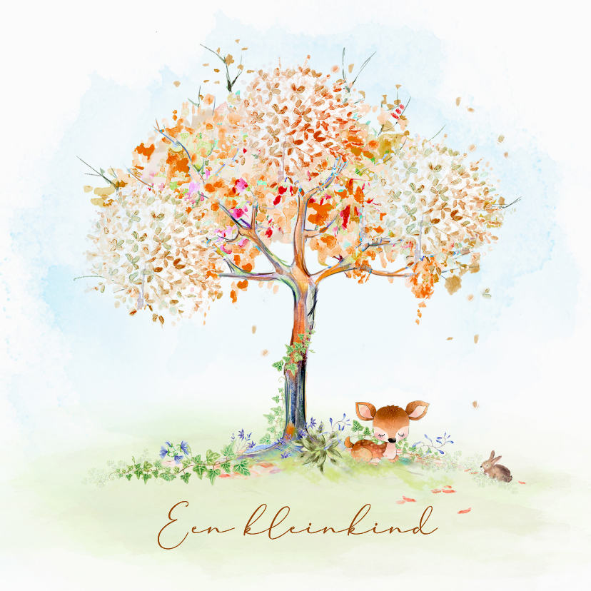 Felicitatiekaarten - Felicitatiekaart kleinkind hertje en konijn