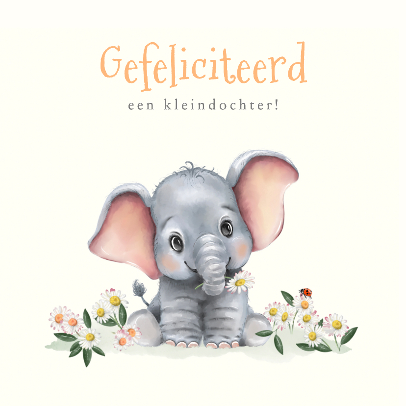 Felicitatiekaart kleinkind met olifantje - Felicitatiekaarten Felicitatiekaarten - Felicitatiekaart kleinkind met olifantje