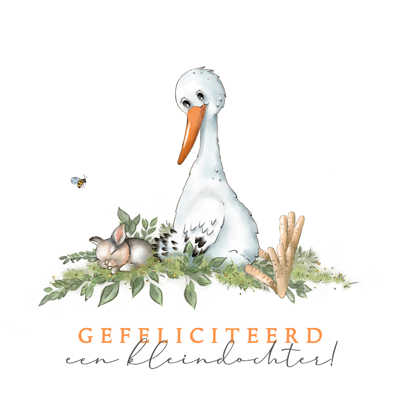 Felicitatiekaart kleinkind met ooievaar - Felicitatiekaarten Felicitatiekaarten - Felicitatiekaart kleinkind met ooievaar