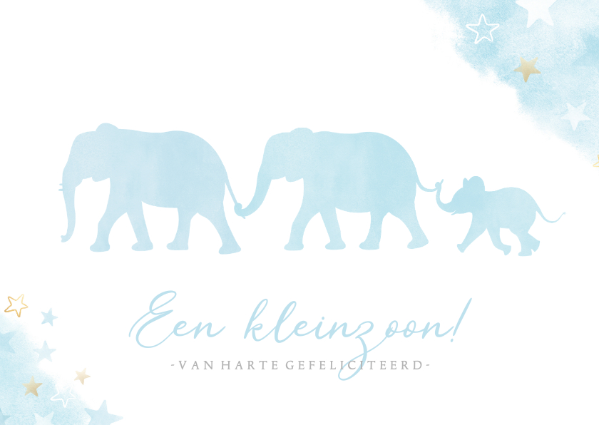 Felicitatiekaarten - Felicitatiekaart kleinzoon met silhouet van 3 olifantjes