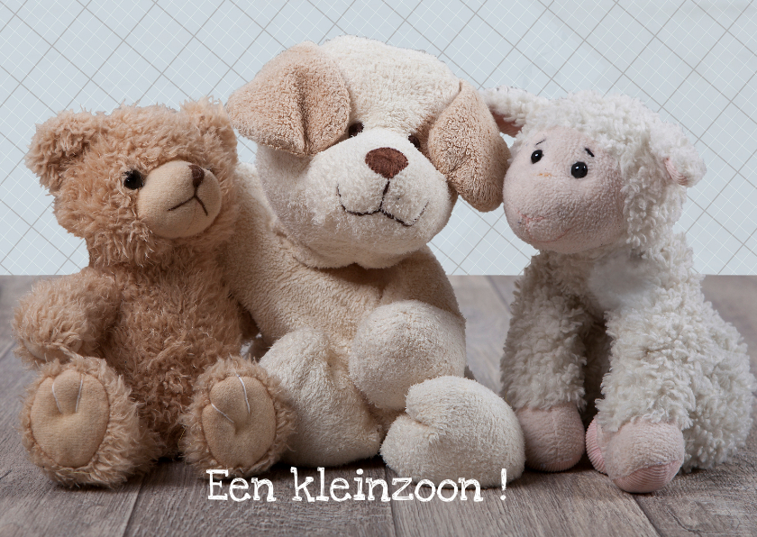 Felicitatiekaart knuffels MM - Felicitatiekaarten Felicitatiekaarten - Felicitatiekaart knuffels MM