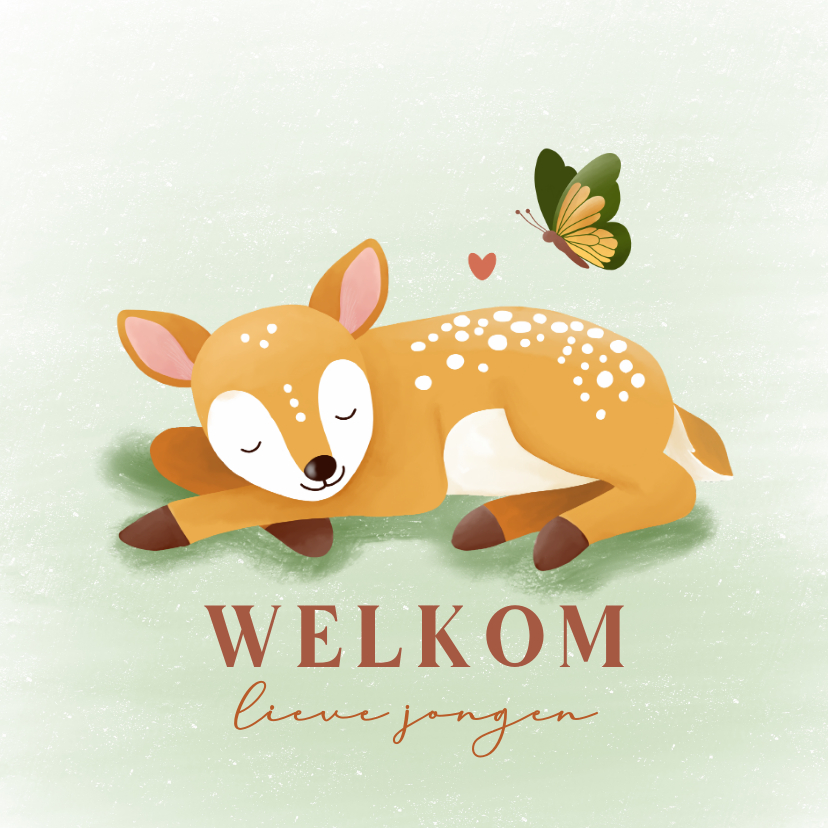 Felicitatiekaart lief slapend hertje en vlinder jongen - Felicitatiekaarten Felicitatiekaarten - Felicitatiekaart lief slapend hertje en vlinder jongen