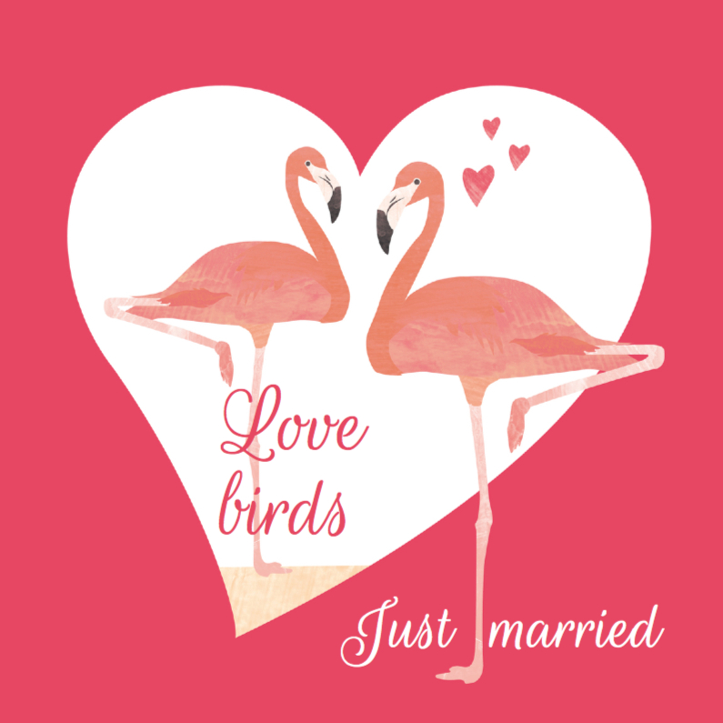 Felicitatiekaarten - Felicitatiekaart Love birds flamingo's