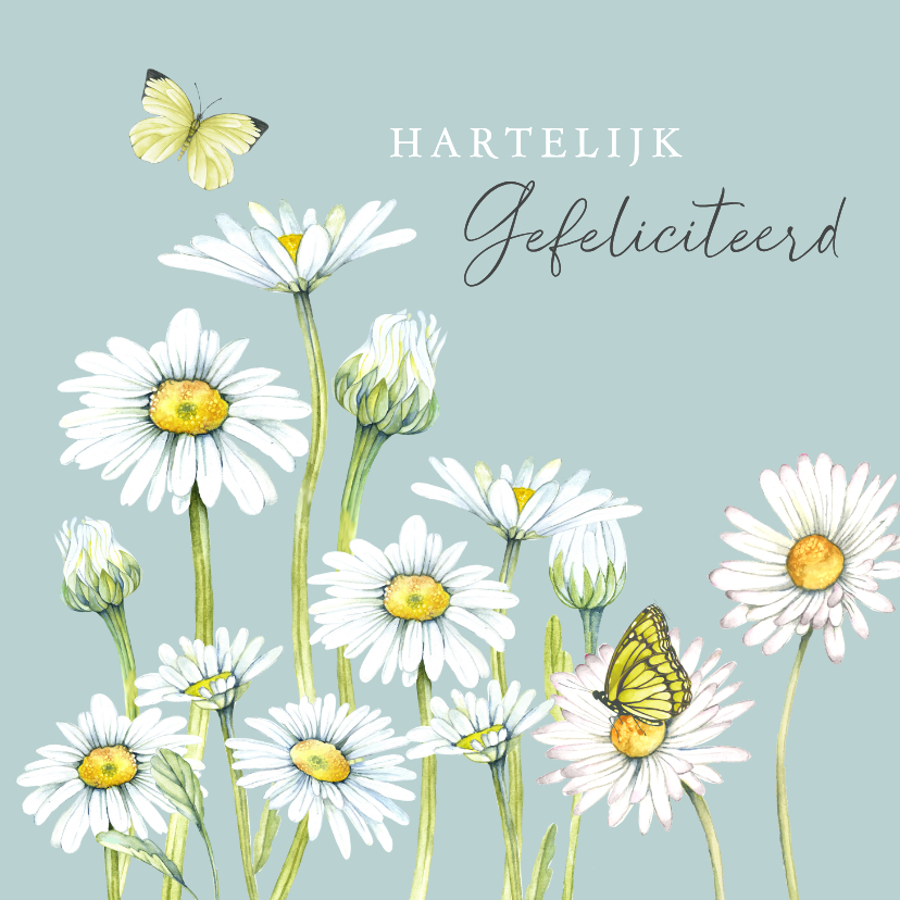 Felicitatiekaart magrieten met vlinders - Felicitatiekaarten Felicitatiekaarten - Felicitatiekaart magrieten met vlinders