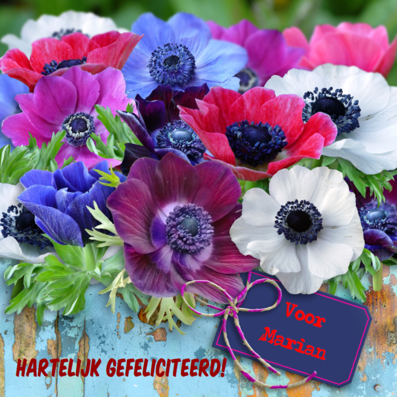 Felicitatiekaart met fleurige anemonen op steigerhout - Felicitatiekaarten Felicitatiekaarten - Felicitatiekaart met fleurige anemonen op steigerhout