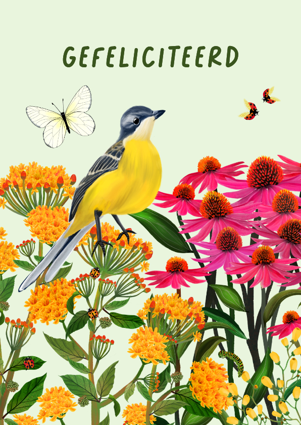 Felicitatiekaarten - Felicitatiekaart met kwikstaart en vlinder