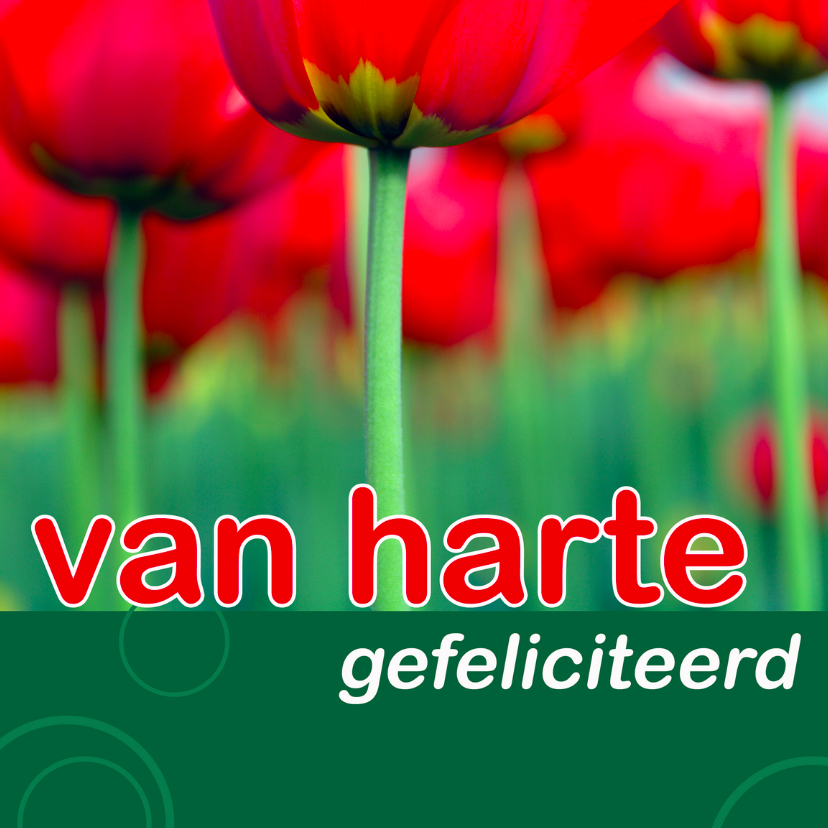 Felicitatiekaarten - felicitatiekaart met tulpen