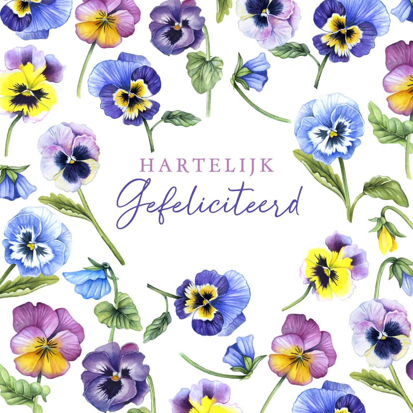 Felicitatiekaarten - Felicitatiekaart met veel viooltjes