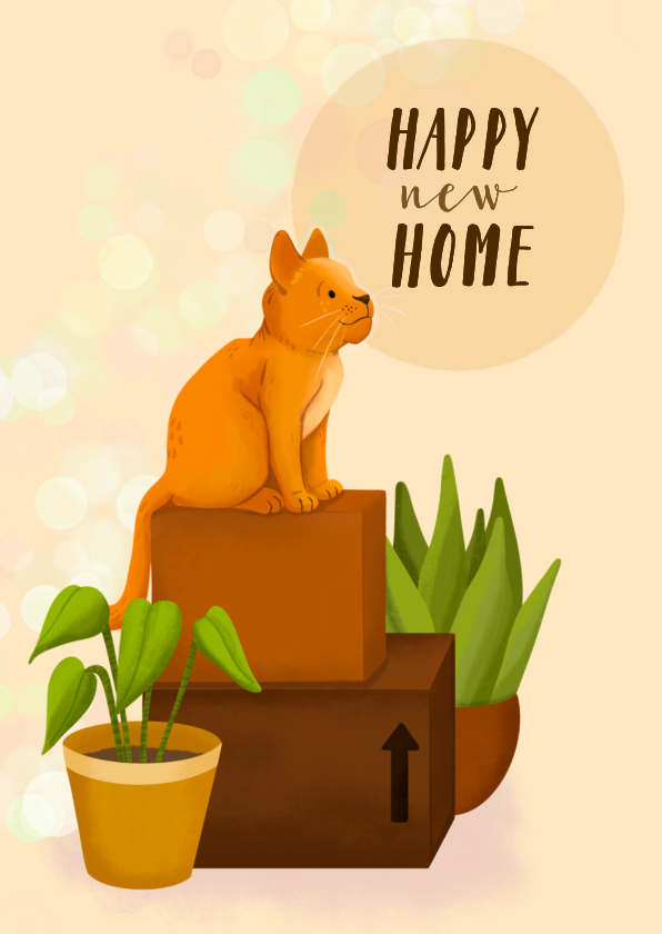 Felicitatiekaarten - Felicitatiekaart nieuwe woning kat op dozen