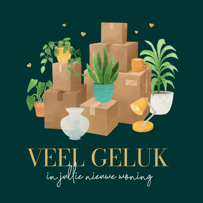 Felicitatiekaarten - Felicitatiekaart nieuwe woning veel geluk dozen planten