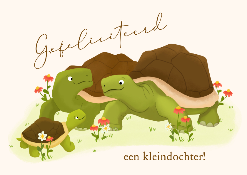 Felicitatiekaart oma en opa geworden - schildpadden - Felicitatiekaarten Felicitatiekaarten - Felicitatiekaart oma en opa geworden - schildpadden