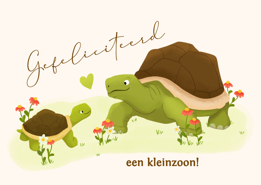 Felicitatiekaarten - Felicitatiekaart oma of opa geworden - schildpadden