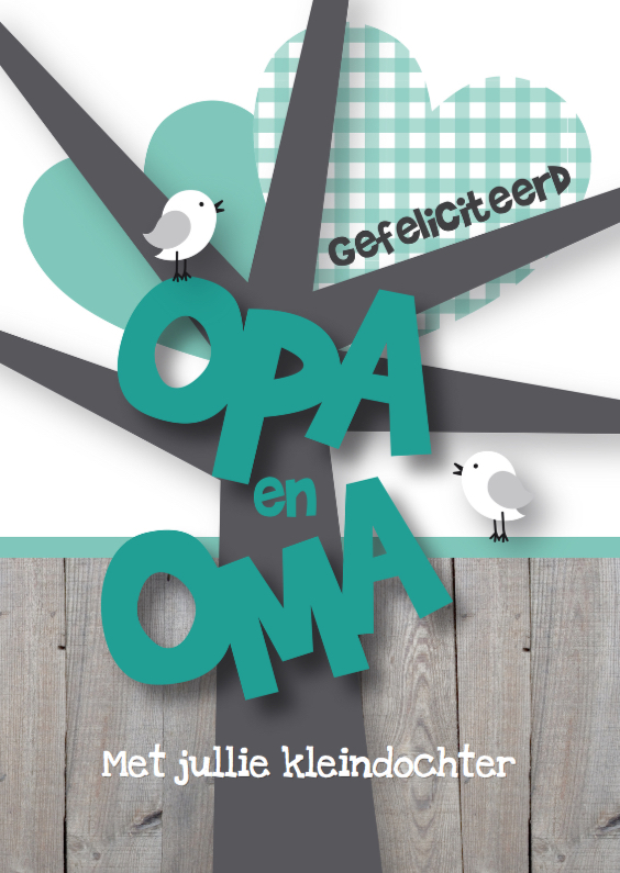 Felicitatiekaart opa en oma kleinkind vogeltjes - Felicitatiekaarten Felicitatiekaarten - Felicitatiekaart opa en oma kleinkind vogeltjes