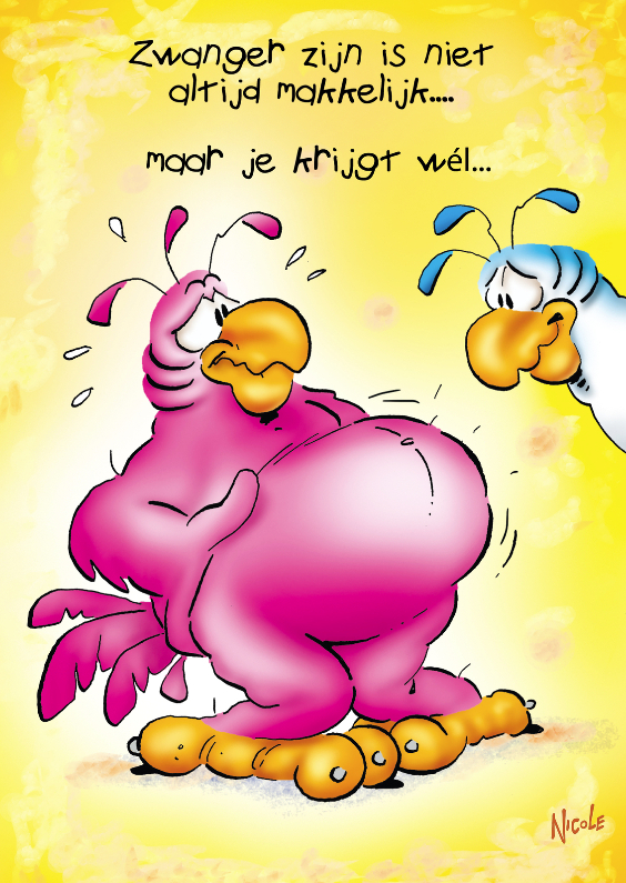 Felicitatiekaart Rocco zwanger 1 papagaai zwanger - Felicitatiekaarten Felicitatiekaarten - Felicitatiekaart Rocco zwanger 1 papagaai zwanger