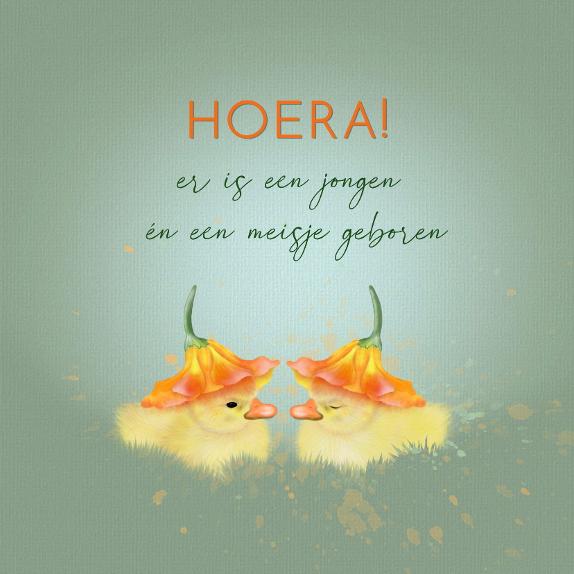 Felicitatiekaart tweeling eendjes onder bloemkelk - Felicitatiekaarten Felicitatiekaarten - Felicitatiekaart tweeling eendjes onder bloemkelk