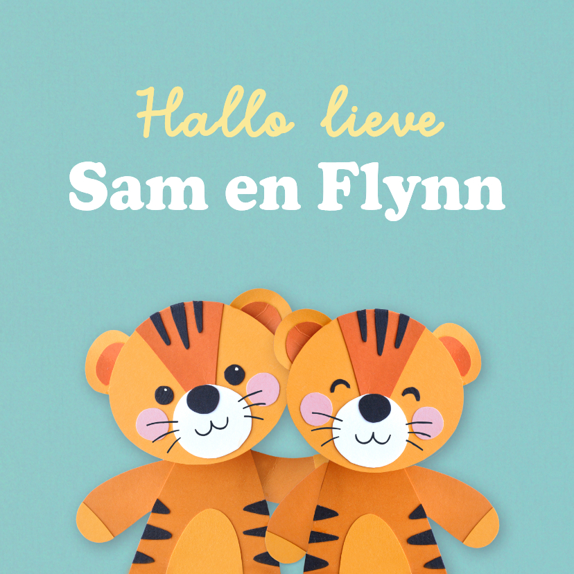 Felicitatiekaart tweeling tijgertjes - Felicitatiekaarten Felicitatiekaarten - Felicitatiekaart tweeling tijgertjes