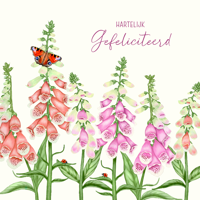 Felicitatiekaarten - Felicitatiekaart vingerhoedskruid