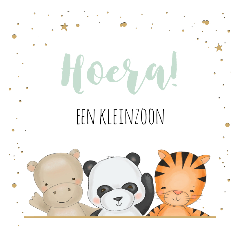 Felicitatiekaarten - Felicitatiekaart voor kleinzoon met drie safari diertjes